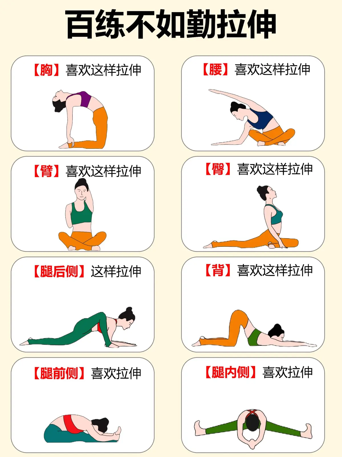 篮球训练术语大全视频教学_2